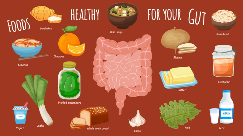 Best Nutrition and Foods for Gut Health