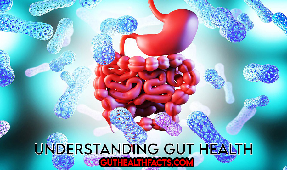 Understanding Gut Health
