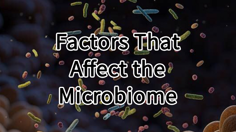 Factors That Affect the Microbiome