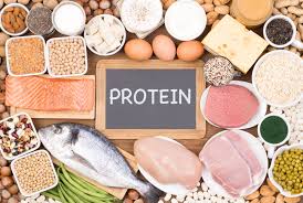 How Proteins Are Digested