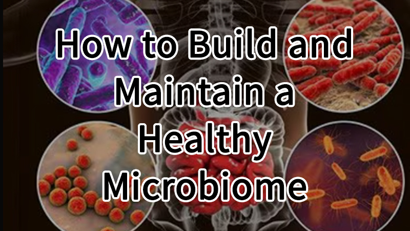 How to Build and Maintain a Healthy Microbiome