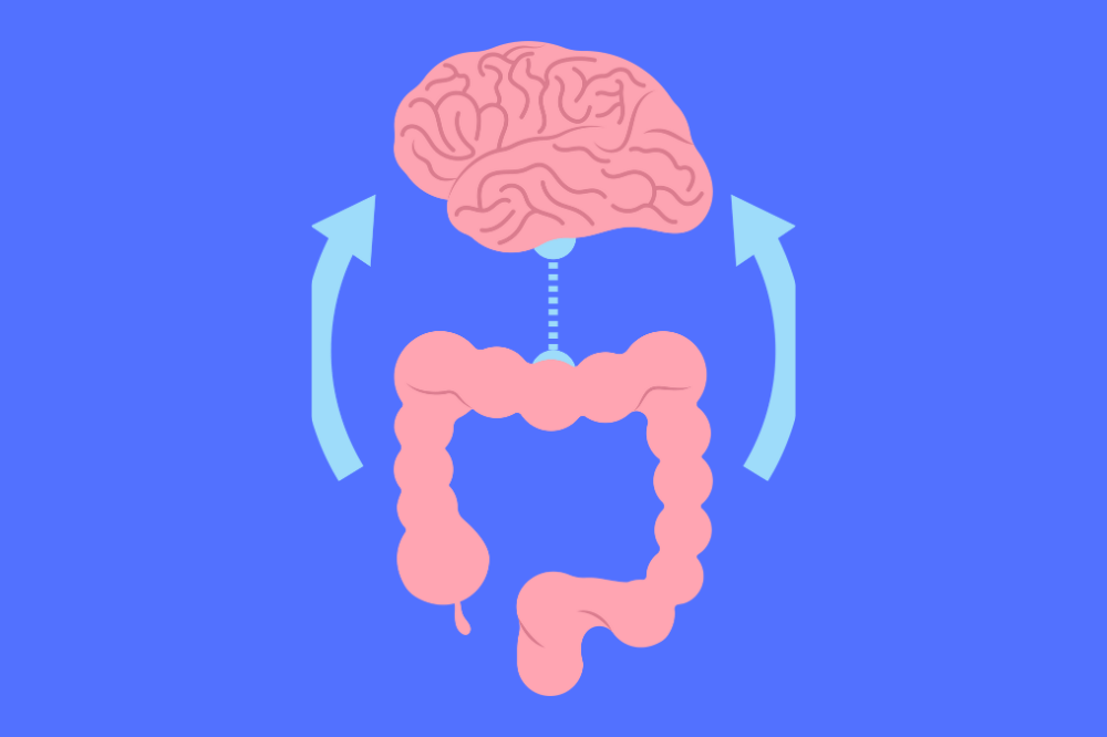 The Gut-Brain Connection and Its Impact on Digestion