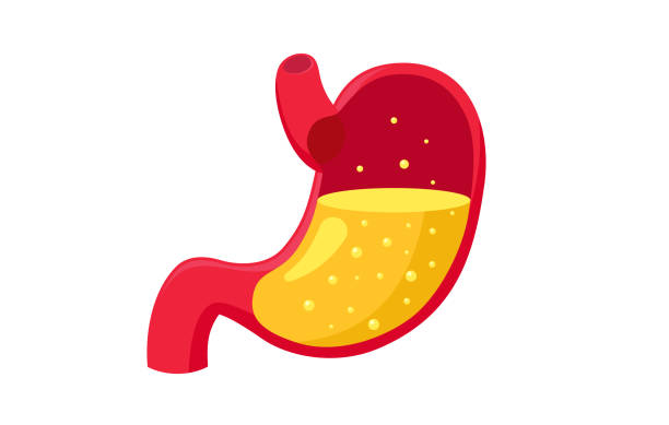 The Importance of Digestive Juices
