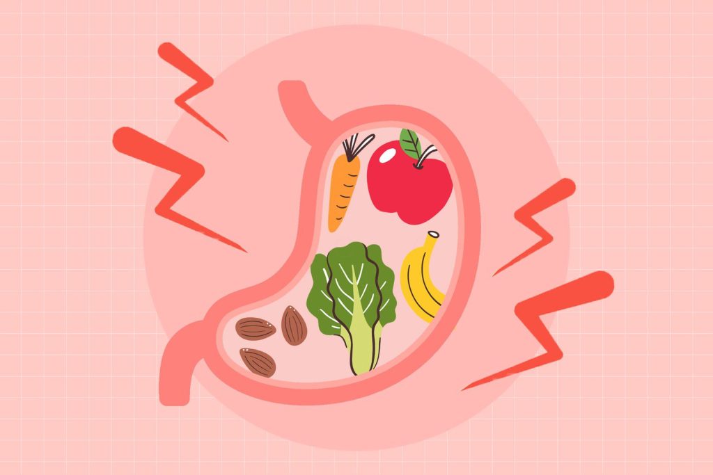 The Role of Fiber in Digestion