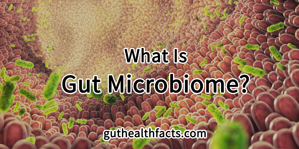 What is gut microbiome