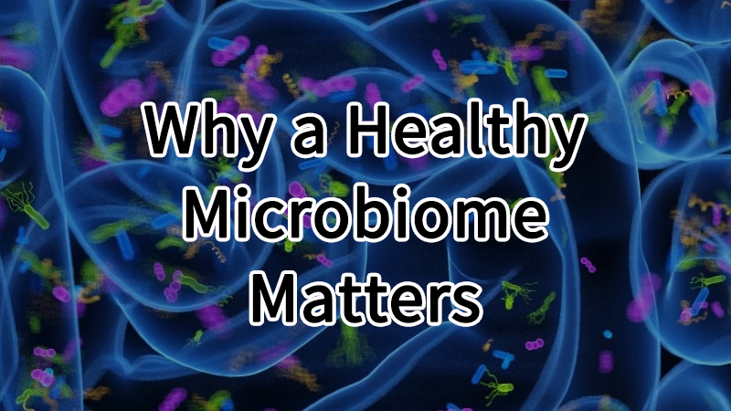 Why a Healthy Microbiome Matters