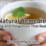 10 Natural Remedies for Bloating and Indigestion That Really Work