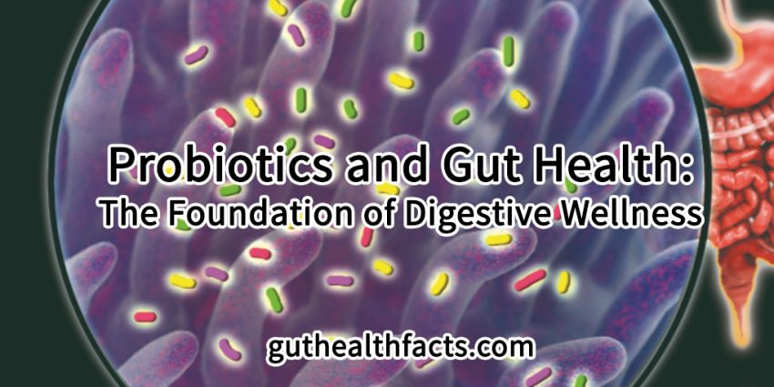 Probiotics and Gut Health The Foundation of Digestive Wellness