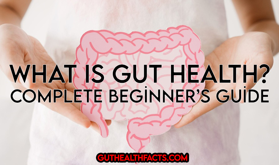What Is Gut Health? Complete Beginner’s Guide