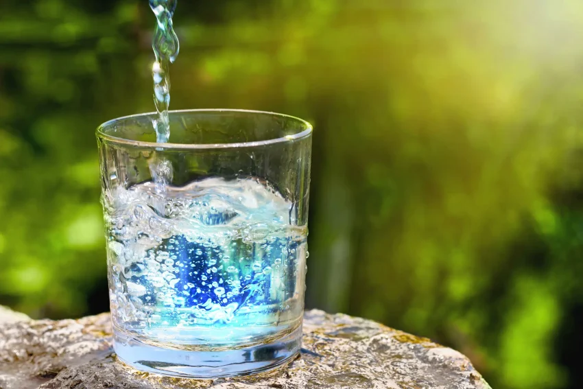 5 Daily Habits for Better Gut Health