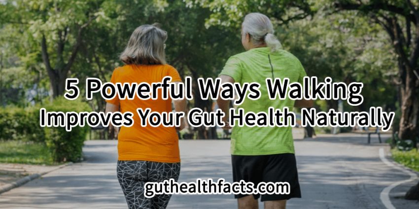 5 Powerful Ways Walking Improves Your Gut Health Naturally