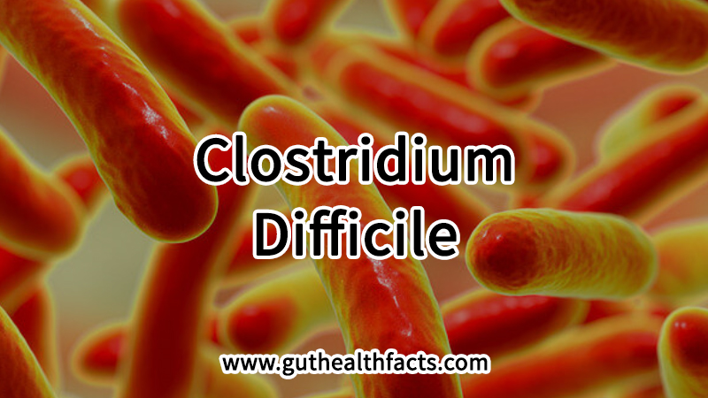 Clostridium Difficile: 3 Risks Associated With Infection And Digestive Disorders