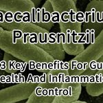 Faecalibacterium Prausnitzii 3 Key Benefits For Gut Health And Inflammation Control
