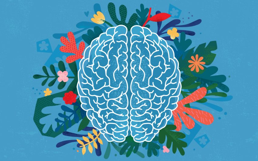 Gut Health and Mental Health Connection