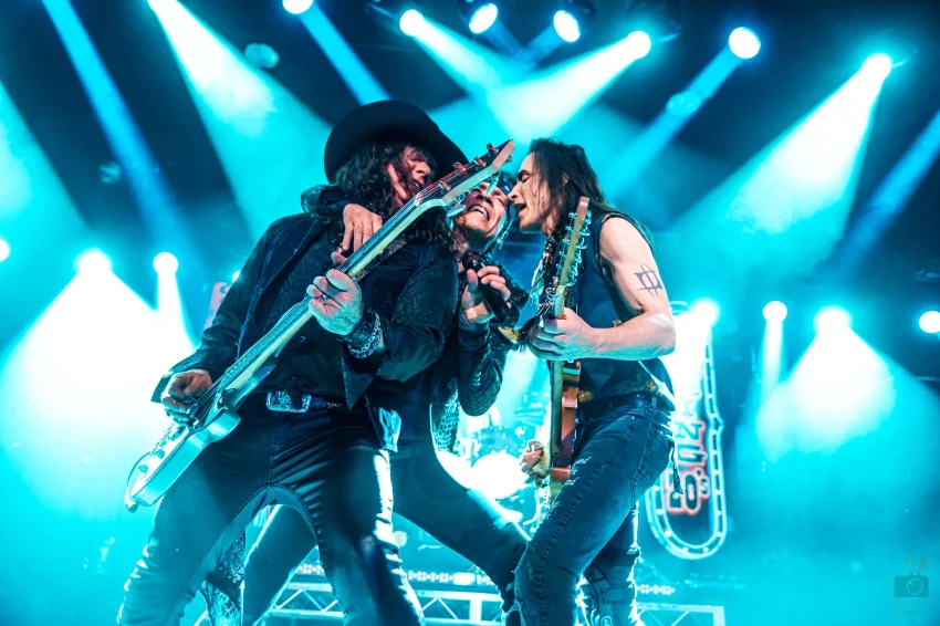 How Does Gut Health Relate To Extreme Music Preferences