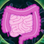 Top 5 Supplements for Gut Health